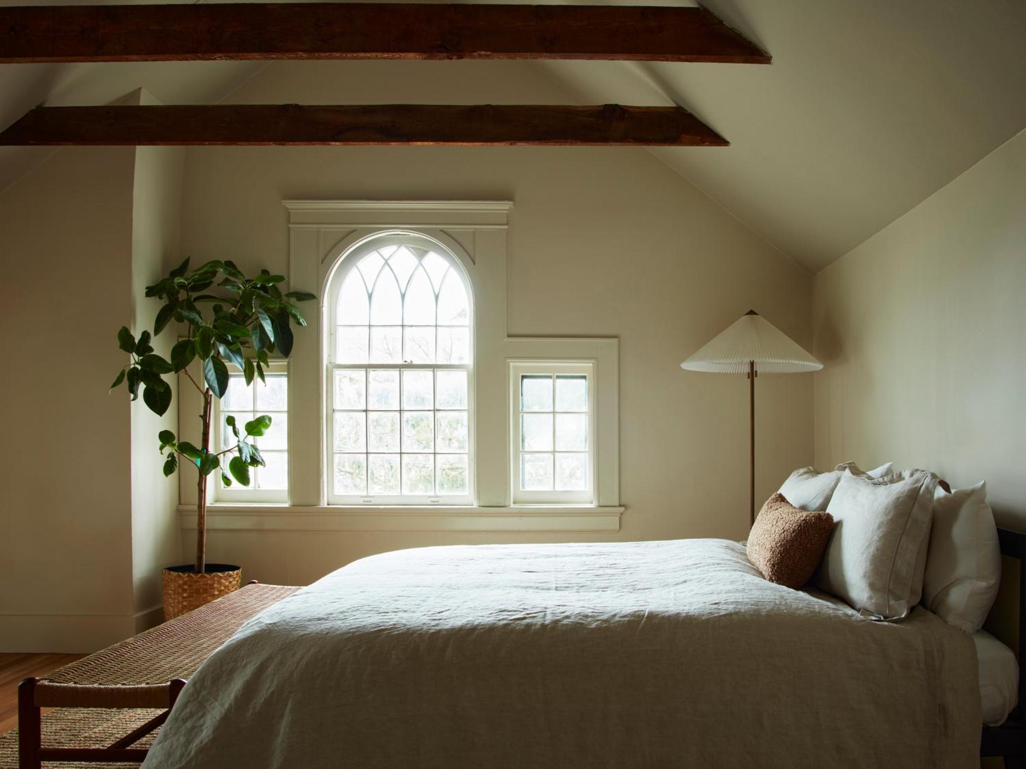 Cohouse New Haven Steps To Yale University Экстерьер фото